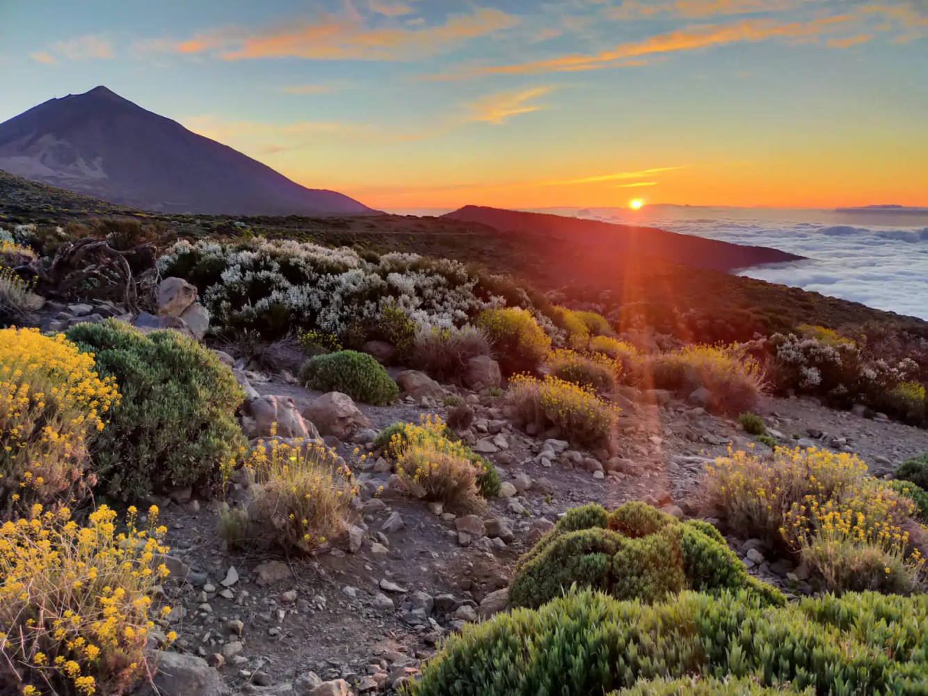 Astrofotografía en el Teide Astrofotografía en el Teide