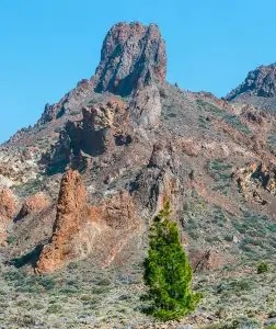 Rock formation and volcanic landscape in Teide National Park