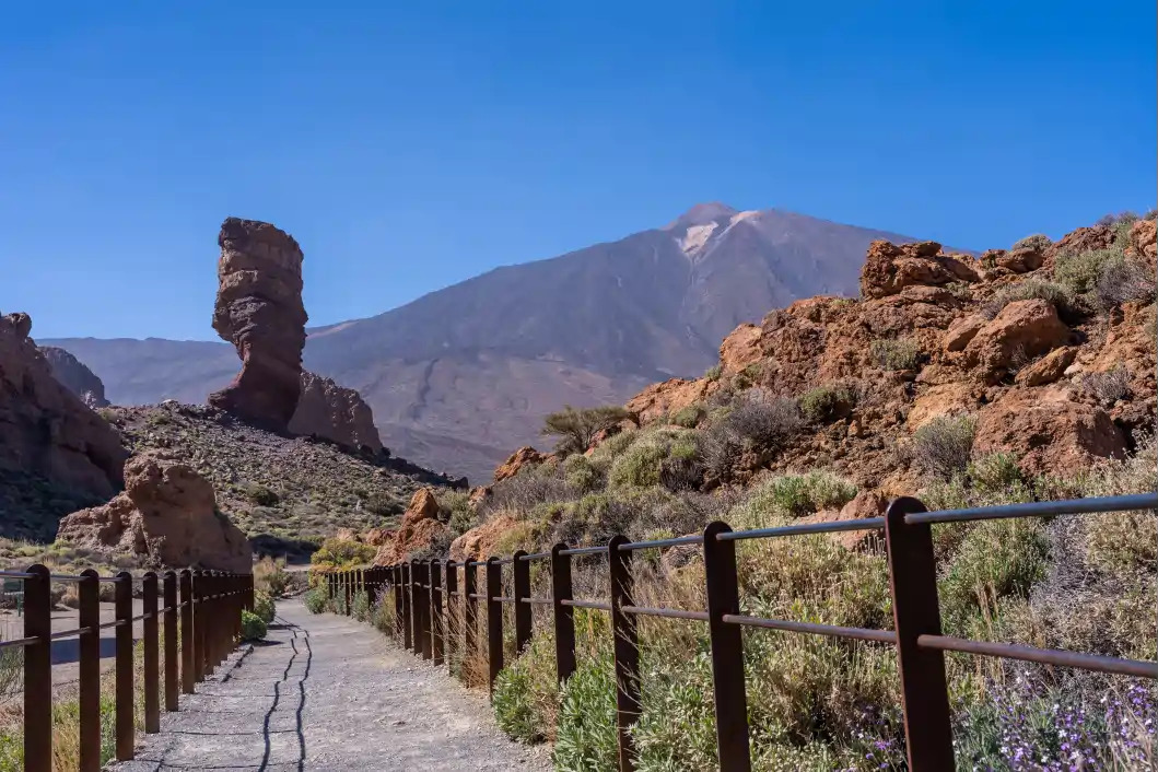 Vulkaan Teide en landschap van het Nationaal Park Teide op Tenerife